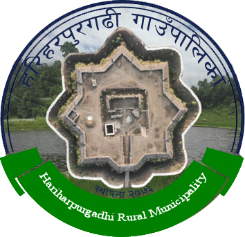 Local Government Logo